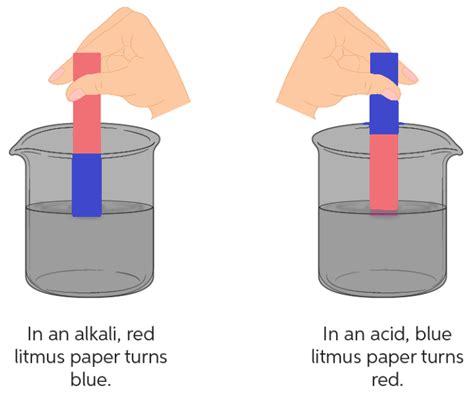 Acids, Bases, Salts and PH Indicators – Competitive Chemistry