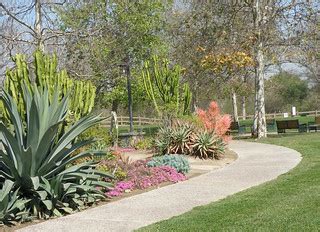 Desert Plants | Augustus F. Hawkins Nature Park | Laurie Avocado | Flickr