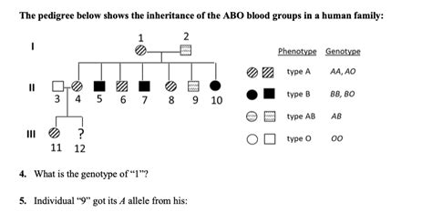 How To Make A Pedigree Chart For Blood Type - Best Picture Of Chart ...