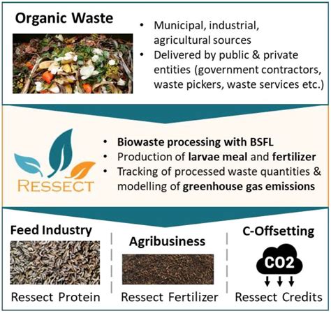 Bio-waste treatment – WDCD No Waste Challenge