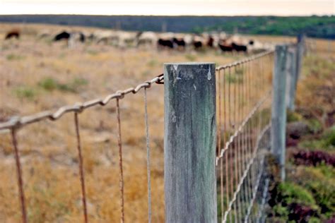 Getting Started with Livestock Part 2: Fencing & Facilities – Homestead on the Range