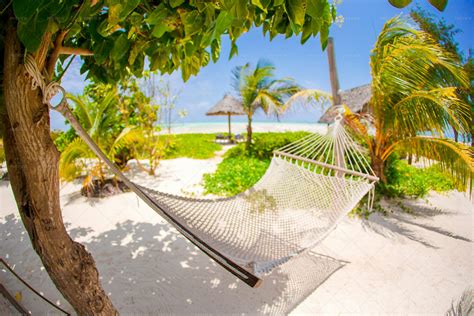 Hammock On Tropical Beach - Stock Photos | Motion Array