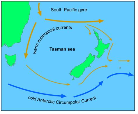 Tasman Sea On World Map