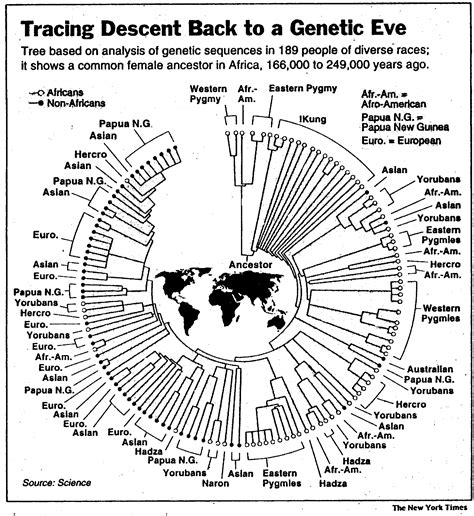 Dating Eve, a Case Study in Biochemical Evolution Free Genealogy Sites, Genealogy Resources ...