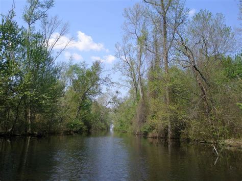 Great Dismal Swamp National Wildlife Refuge