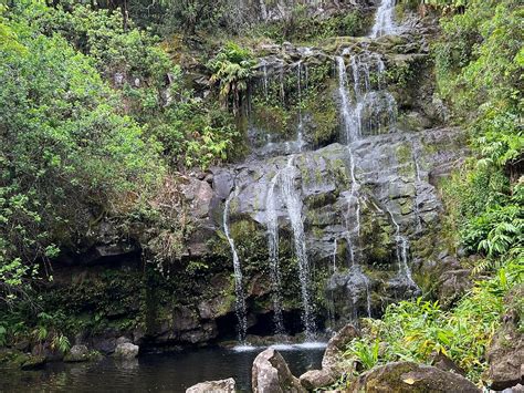 Kohala Waterfalls Adventure - All You Need to Know BEFORE You Go (2024)