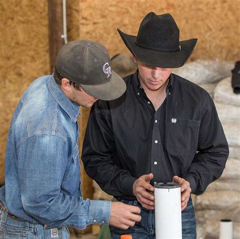 professional farrier instruction - Olsen Equine