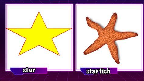 Star Shaped Objects I star I amazing Star Shaped Objects - YouTube