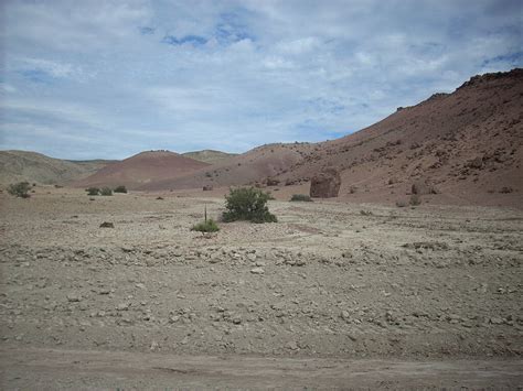 Patagonian Desert & Steppe Ecoregion | LAC Geo