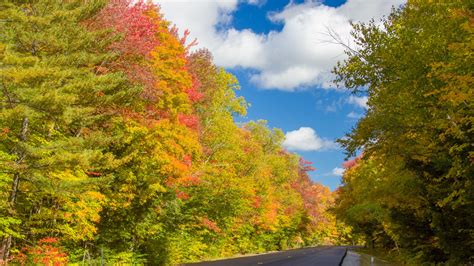 Fall In New England Free Stock Photo - Public Domain Pictures