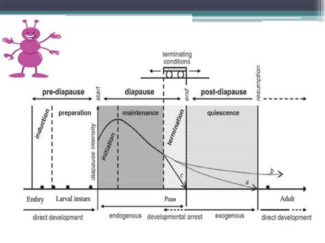 Diapause mechanism in Insects-Bismoy Mohanty