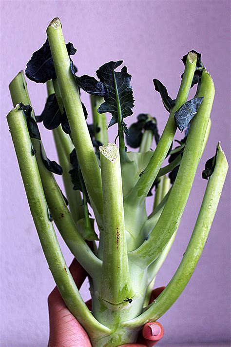 Broccoli stems salad - Anna Cooking Concept