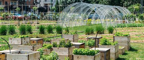 Urban Agriculture | pittsburghpa.gov