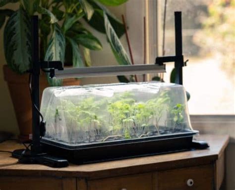 Best Indoor Greenhouse Kits | House Life Today