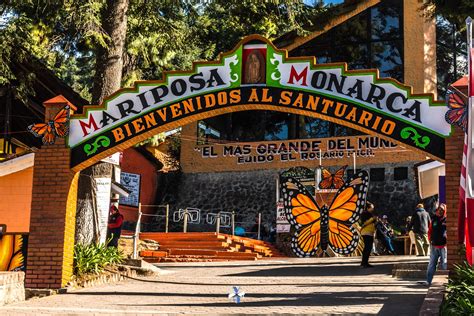 Vicente Amador Araiza González: Santuario de la Mariposa Monarca ...