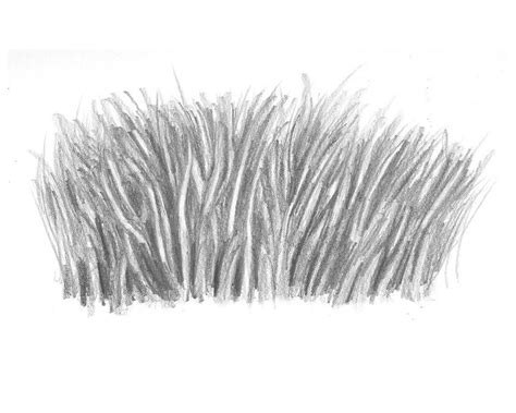 22+ Drawing Of Grass - GiseleMaxim