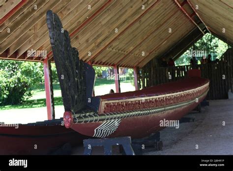 A traditional Maori Waka (canoe), New Zealand Stock Photo - Alamy