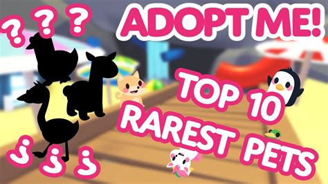 What Is The Rarest Pet In Adopt Me 2021 May at Terri Manos blog