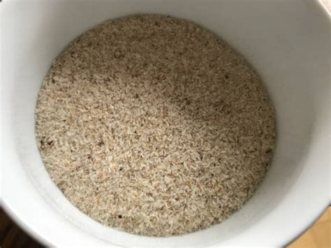 How to Take Psyllium Husk for Weight Loss - Healthy Hildegard