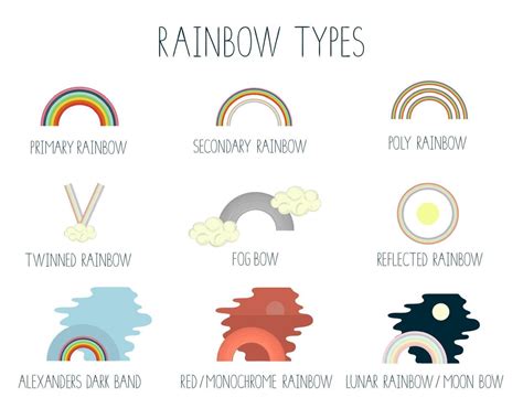 Vector illustration of rainbow types isolated on white background ...