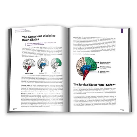 Product: Conscious Discipline: Building Resilient Classrooms