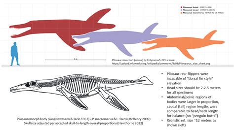 Why Scientifically Inaccurate Pliosaur Renderings Need Addressing