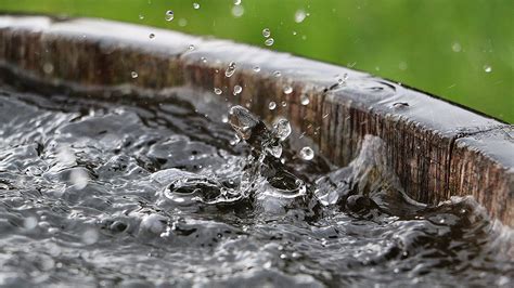 Rainwater Harvesting: Why and How - Shop-O-Rama