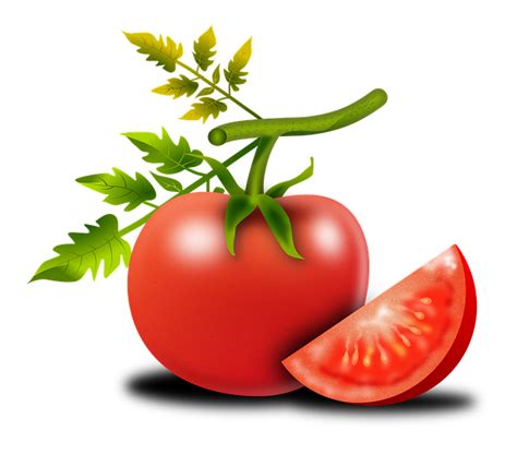 Download Tomato, Fruit, Solanum Lycopersicum. Royalty-Free Stock ...