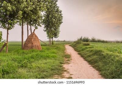 Punjab Village Photos, Images & Pictures | Shutterstock