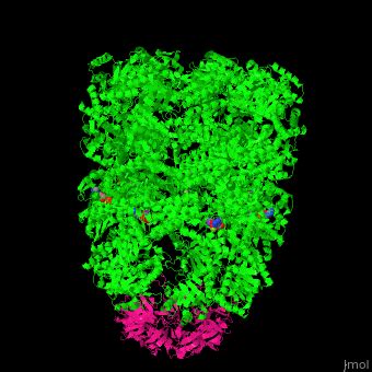 Chaperonin - Proteopedia, life in 3D