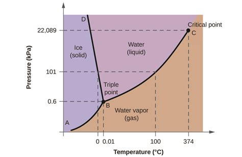 10.4: Phase Diagrams | General College Chemistry I