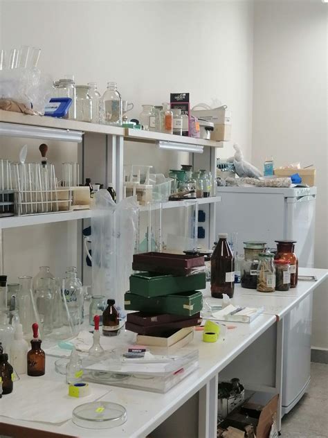 laboratory in 2023 | Laboratory idea, Laboratory design, Lab research ...