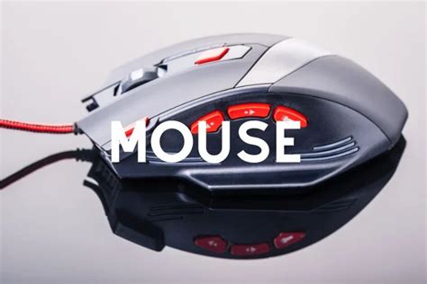 8 Top RGB Gaming Mouses - Tech Searchers