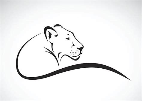 Lioness Clipart Black And White