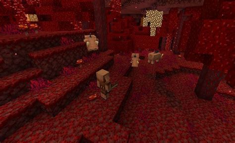 Crimson Forest in Minecraft