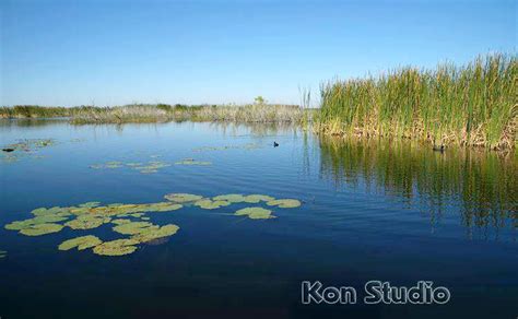 Lake Apopka A History Lesson on Eutrophication | Imagine Our Florida, Inc