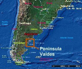 PENINSULA VALDES