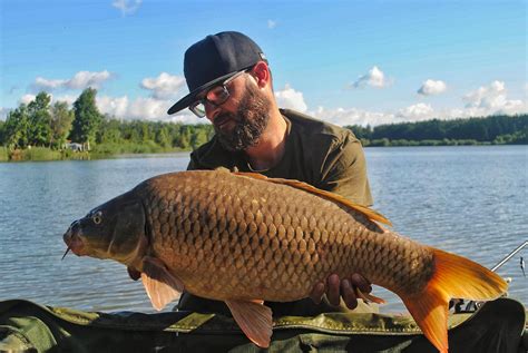 Common carp : r/CarpFishing