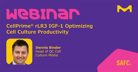 CellPrime® rLR3 IGF-1 Optimizing Cell Culture Productivity