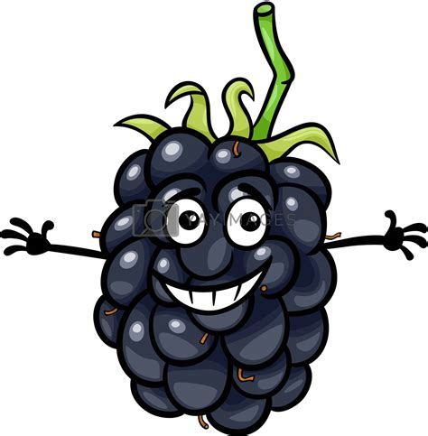 funny blackberry fruit cartoon illustration by izakowski Vectors ...