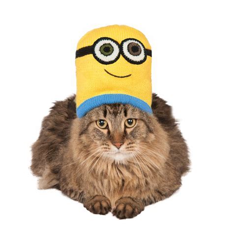 Minion Knit Cat Hat Costume - Bob | BaxterBoo