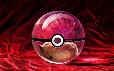 Eevee Pokeball Wallpaper - WallpaperSafari