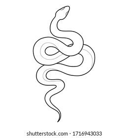 Snake Outline Royalty-Free Images, Stock Photos & Pictures | Shutterstock