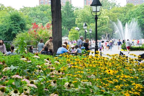 Washington Square Park: NYU's Campus Quad in Every Season - MEET NYU