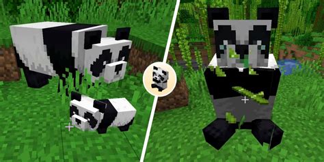 Top 15 how to breed pandas in minecraft 2022 2022