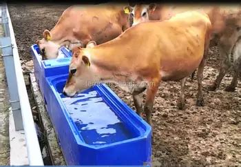 Premier Large Heated Water Trough For Cattle,Horse - Buy Drinking Tank ...