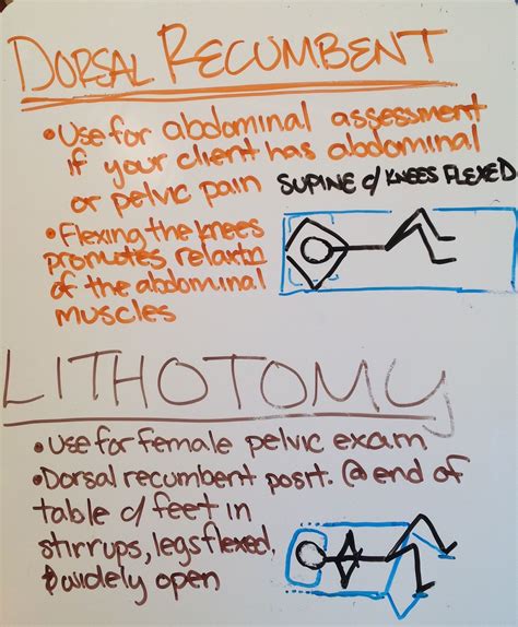 Patient positioning - Dorsal Recumbent and Lithotomy