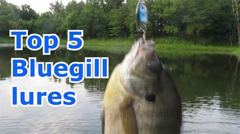 Best 5 Lures for Bluegill and Panfish - Tips and Techniques - YouTube