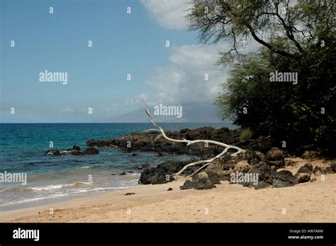 Hawaii beach scene Stock Photo - Alamy