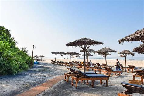 23 Beach Shacks in Goa in 2024 for Great Beer and Delicious Food